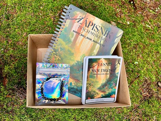 ZÁPISNÍK- KARTY LESA- NÁRAMEK ZÁMĚRU